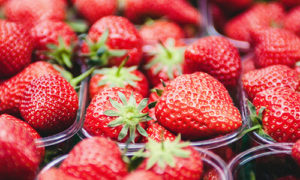 osc fresh market production guide selling your fresh market strawberries bins of strawberries landing page