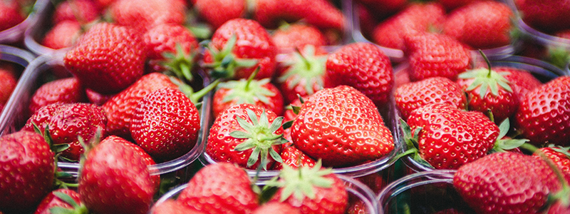 osc fresh market production guide selling your fresh market strawberries bins of strawberries