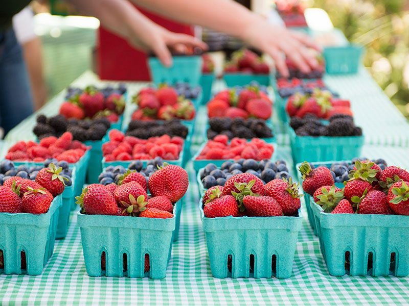 Oregon Strawberries Farmers Market Berry Hallocks