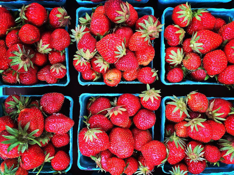 Hallocks of Fresh Oregon Strawberries